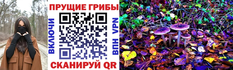 купить   Назарово  Галлюциногенные грибы Magic Shrooms 
