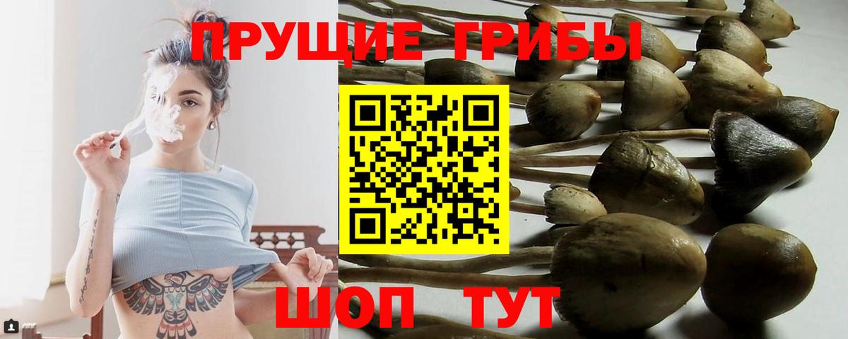 Галлюциногенные грибы Cubensis Назарово
